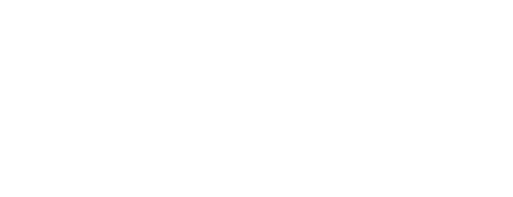 logo exsis